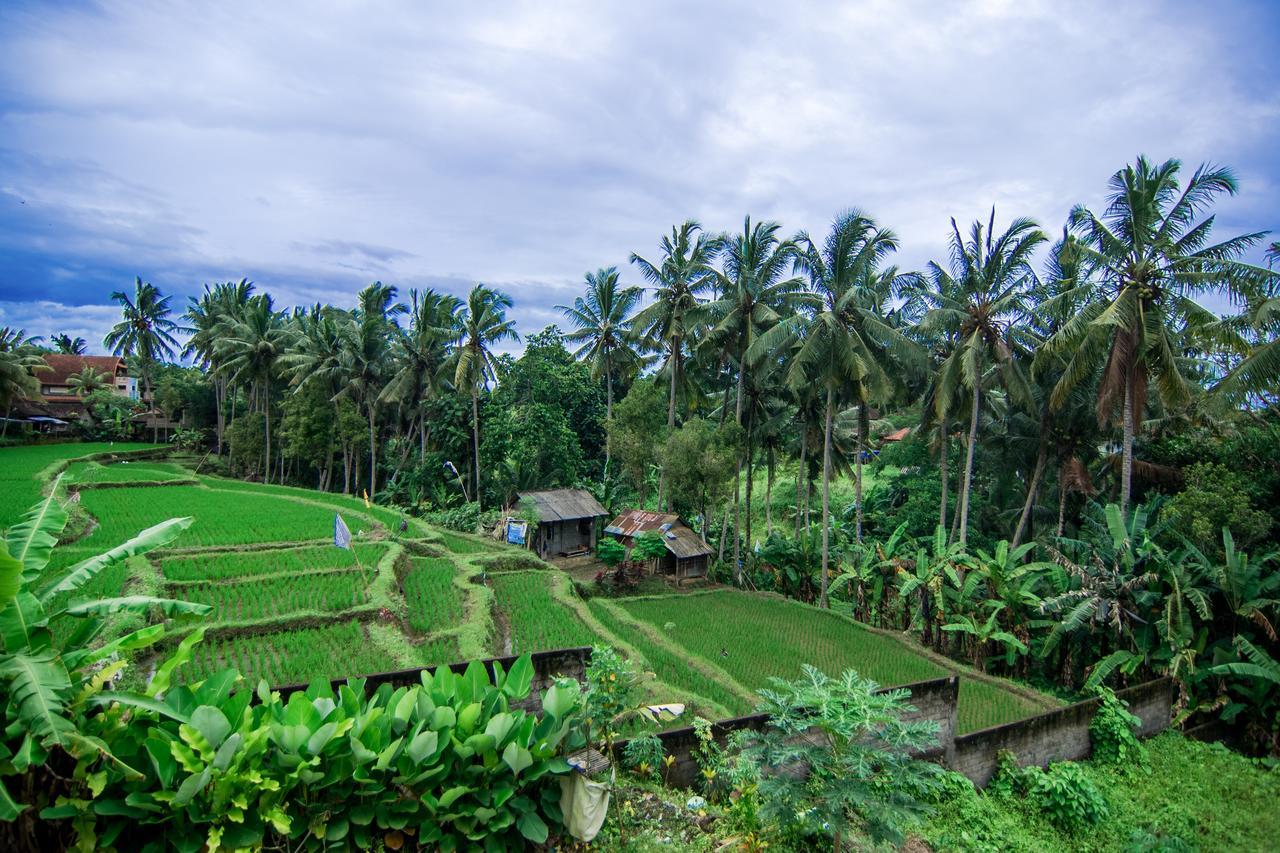 Hotel Gusti Rai House Ubud Esterno foto